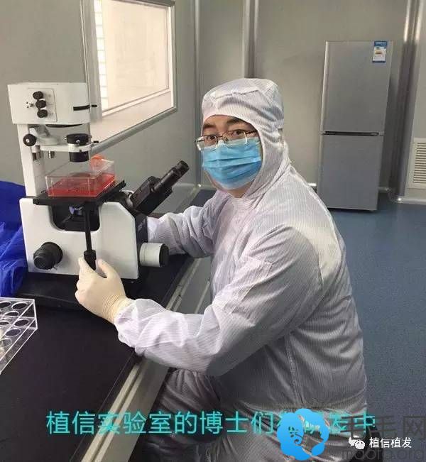 北京植信植发实验室的博士们正在研发中
