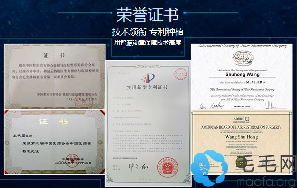 上海华美植发科王书闳荣誉证书