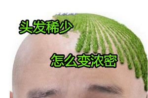 头发稀少怎么变浓密 北京碧莲盛的6个方法让生发不再是难题