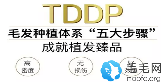 新生TDDP毛发种植体系