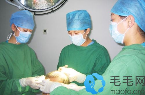 植发操作手术过程