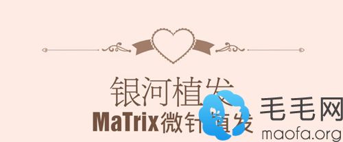 MATRIX矩阵植发加密技术