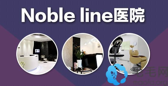 韩国Noble Line植发