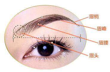 眉毛移植手术的特点与手术方法成功的关键