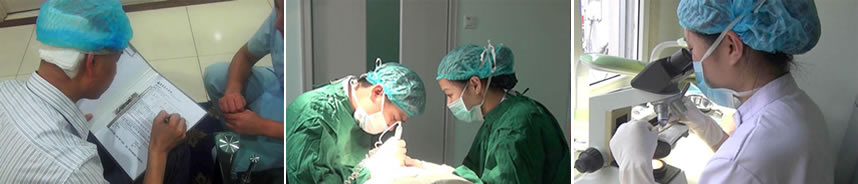 新生植发植发流程之签协议手术及术后管理