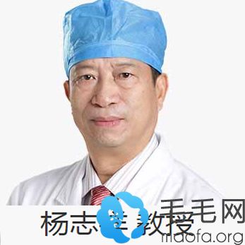 毛发移植医生杨志祥
