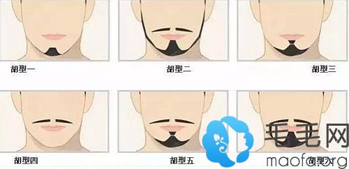 上海薇琳植发胡须种植原理