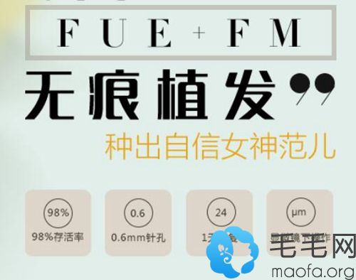 FUE+FM无痕植发技术